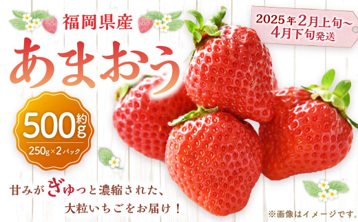 福岡県産 あまおう 500g （250g×2パック）苺 イチゴ いちご 大粒 果物 フルーツ 福岡 福岡県【2025年2月上旬～4月下旬発送予定】 1441010 - 福岡県遠賀町