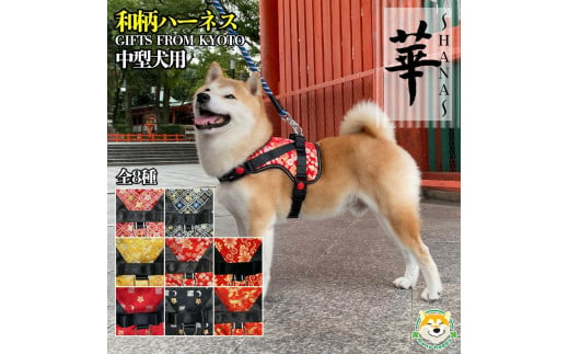 【 京都西陣金襴織 】中型犬用ハーネス 華（七宝 黒）【柴犬コウタのハッピィショップ】 1510796 - 京都府京都市