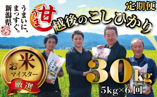 【令和6年産】 新米 コシヒカリ 定期便 5kg 6ヵ月 30kg 甘うま越後のこしひかり 越後 えちご  特別栽培米 新潟 コメ こめ お米 米 しんまい 新潟県 新潟米 新発田市 新発田産