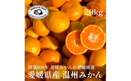 愛媛みかんの老舗厳選＜愛媛県川上産 温州みかん20kg＞新口農園＜H70-33＞【1536301】 1449993 - 愛媛県八幡浜市