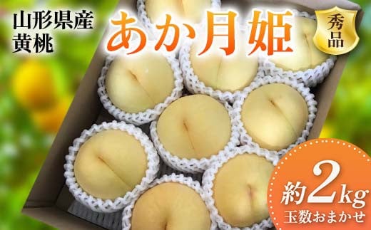 《2025年先行予約》 山形県産 黄桃 ＜あか月姫＞ 秀品 約2kg 玉数おまかせ FSY-2011 1550217 - 山形県山形県庁