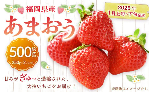 福岡県産 あまおう 500g （ 250g × 2パック ） 苺 イチゴ いちご 大粒 果物 フルーツ 福岡 福岡県 【2025年1月上旬～1月下旬発送予定】 1411711 - 福岡県遠賀町