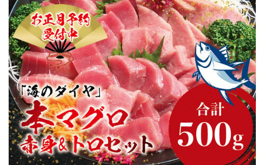 本マグロ（養殖）トロ＆赤身セット 500g 【12月26日～30日に発送】高級 クロマグロ  中トロ 中とろ まぐろ マグロ 鮪 赤身 柵 じゃばらまぐろ 年内配送 年内発送 お正月 正月【nks110B-sg】 1056101 - 和歌山県太地町