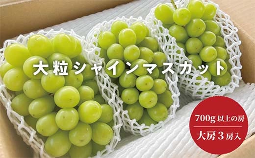 岡山県産 きよとうのこだわりのシャインマスカット特大3房 ぶどう ブドウ シャインマスカット 社員マスカット 葡萄 デザート フルーツ 果物 くだもの 果実 食品