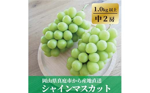 岡山県産 こだわりのシャインマスカット 中サイズ2房入 ぶどう ブドウ シャインマスカット 社員マスカット 葡萄 デザート フルーツ 果物 くだもの 果実 食品