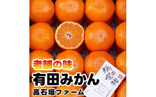 有田みかん しにせの味 約1kg S〜2Lのいずれか 秀品または優品