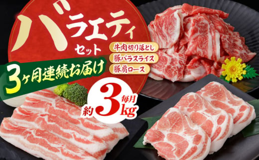 高知県高知市のふるさと納税 【3回定期便】お肉の定期便 バラエティセット (3ヵ月) 総計約9kg 国産 牛肉 切り落とし 豚肉 バラ 肩ロース 【(有)山重食肉】 [ATAP076]