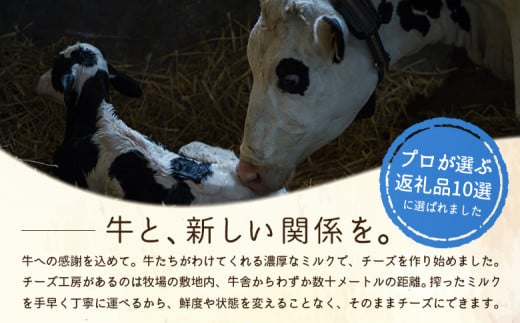 竹下牧場 takeshita farmマリボーチーズセット  計510g