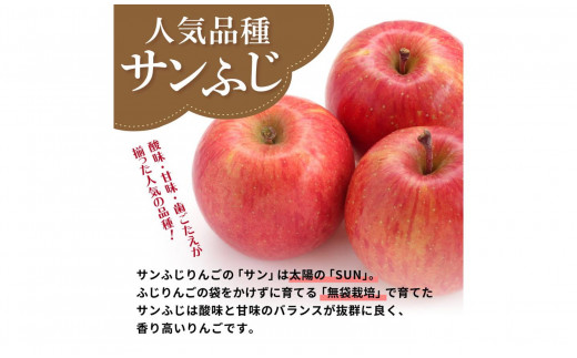 りんご【選べる配送時期】 サンふじ青森 訳あり りんご 10kg 程度 五所川原 不揃い 【 11月 12月 1月 2月 3月 配送 】 -  青森県五所川原市｜ふるさとチョイス - ふるさと納税サイト