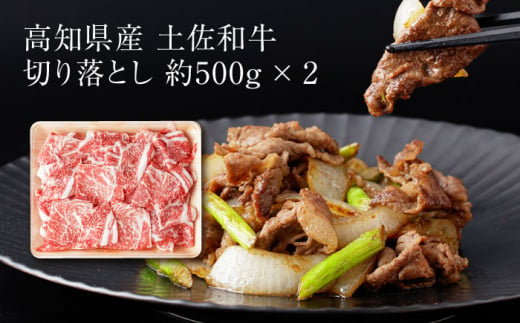 高知県高知市のふるさと納税 【3回定期便】お肉の定期便 バラエティセット (3ヵ月) 総計約9kg 国産 牛肉 切り落とし 豚肉 バラ 肩ロース 【(有)山重食肉】 [ATAP076]