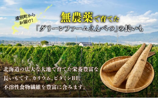 北海道遠別町のふるさと納税 数量限定！遠別産 吉兆長芋（B品5kg)