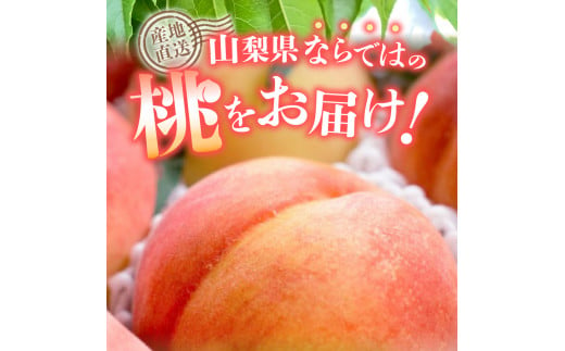 山梨県富士吉田市のふるさと納税 【2025年先行予約】山梨の朝どれ桃2Kg　大玉5玉～7玉 桃 山梨県産桃 果物 くだもの 果物 フルーツ もも 山梨 富士吉田