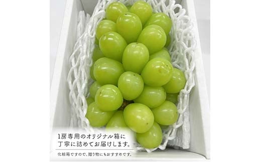 岡山県産 きよとうのこだわりのシャインマスカット 特大 1房800g～ ぶどう ブドウ シャインマスカット 社員マスカット 葡萄 デザート フルーツ  果物 くだもの 果実 食品 TY0-0846 - 岡山県津山市｜ふるさとチョイス - ふるさと納税サイト