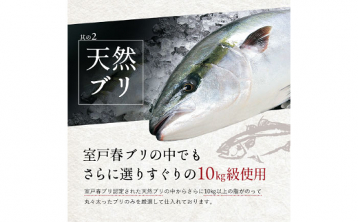 高知県産 天然ブリ 藁焼きたたき 室戸春ブリ 葉ニンニクのぬた 約1kg [ATBE011]