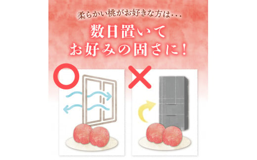 山梨県富士吉田市のふるさと納税 【2025年先行予約】山梨の朝どれ桃2Kg　大玉5玉～7玉 桃 山梨県産桃 果物 くだもの 果物 フルーツ もも 山梨 富士吉田