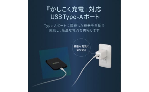 Owltech GaN(窒化ガリウム)採用 USB Type-C×1 USB Type-A×1 最大PD45W出力 コンパクト2ポートAC充電器  OWL-APD45C1A1G-BK ブラック【 AC充電器 家電 神奈川県 海老名市 】 - 神奈川県海老名市｜ふるさとチョイス - ふるさと納税サイト