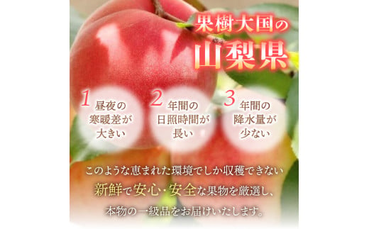 山梨県富士吉田市のふるさと納税 【2025年先行予約】山梨の朝どれ桃2Kg　大玉5玉～7玉 桃 山梨県産桃 果物 くだもの 果物 フルーツ もも 山梨 富士吉田