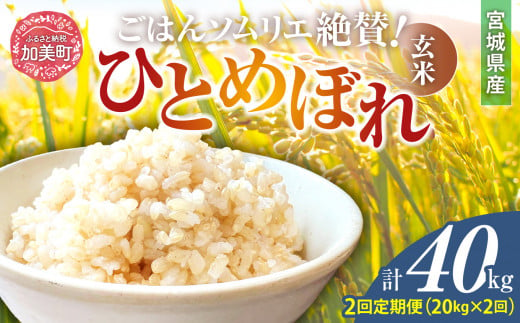 【2回定期便】新米 玄米 令和6年産 宮城県加美町産ひとめぼれ 計40kg (10kg×2袋)×2回 [菅原商店 宮城県 加美町 ]  | sg00002-r6-20kg-2 1513742 - 宮城県加美町