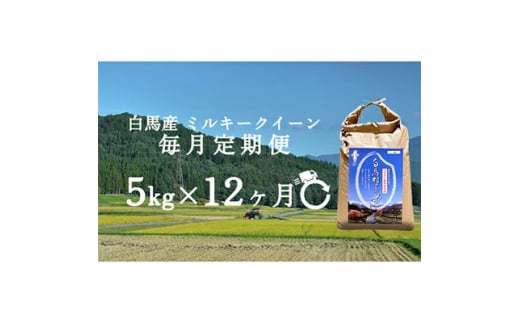 ＜毎月定期便＞長野県白馬村産ミルキークイーン精米5kg全12回【4058044】 1513286 - 長野県白馬村