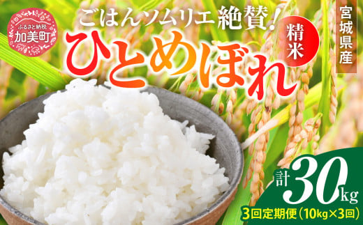 【3回定期便】新米 精米 令和6年産 宮城県産ひとめぼれ 計30kg (10kg×3回) [菅原商店 宮城県 加美町 ]  | sg00001-r6-10kg-3 1513258 - 宮城県加美町