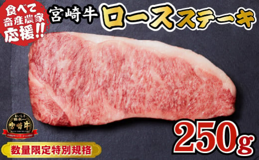 宮崎牛 ロースステーキ 250g（牛肉 黒毛和牛 畜産農家応援 ロース ステーキ 赤身 数量限定）