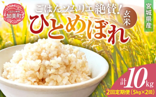 【2回定期便】新米 玄米 令和6年産 宮城県加美町産ひとめぼれ 計10kg (5kg×2回) [菅原商店 宮城県 加美町 ]  | sg00002-r6-5kg-2 1513738 - 宮城県加美町