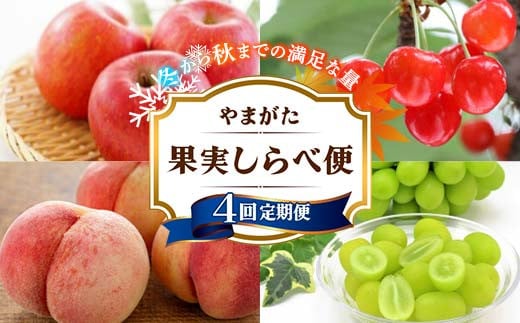 《先行予約》 やまがた果実しらべ便♪ 冬から秋までの満足な量♪ 4回定期便 りんご さくらんぼ 桃 シャインマスカット FSY-2151