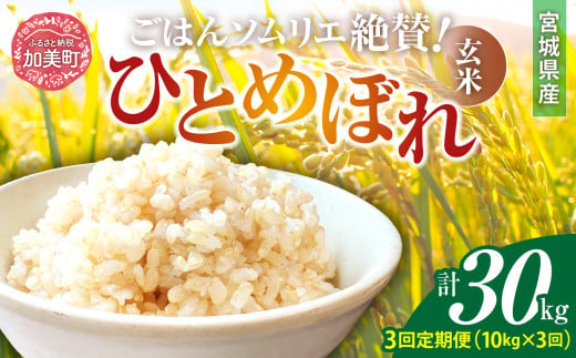 【3回定期便】新米 玄米 令和6年産 宮城県加美町産ひとめぼれ 計30kg (10kg×3回) [菅原商店 宮城県 加美町]  | sg00002-r6-10kg-3 1513741 - 宮城県加美町