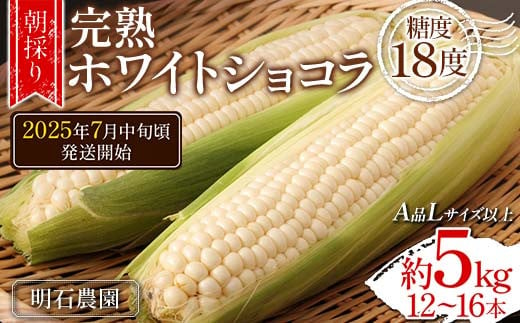 ＜朝採り＞ 完熟ホワイトショコラ 明石農園 糖度18度 約5kg とうもろこし 山形県産 A品 Lサイズ以上 《先行予約2025年度7月中旬頃発送開始》  とうきび トウキビ トウモロコシ コーン 野菜 食品 山形県 FSY-1295 1247615 - 山形県山形県庁