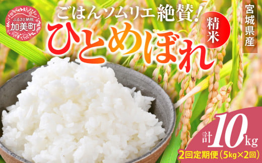 【2回定期便】新米 精米 令和6年産 宮城県産ひとめぼれ 計10kg (5kg×2回) [菅原商店 宮城県 加美町 ]  | sg00001-r6-5kg-2 1513255 - 宮城県加美町