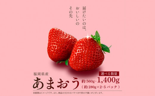 [先行予約] 福岡県産 あまおう 560g~1.4kg (280g×2~5P) 冷蔵 小分け いちご 福岡県産 苺 あまおうイチゴ フルーツ あまおう 果物 スイーツ くだもの 冬 春 旬 福岡 九州 福岡県 川崎町 数量限定 期間限定 エコファーマー 特別栽培 [1月上旬より順次出荷]