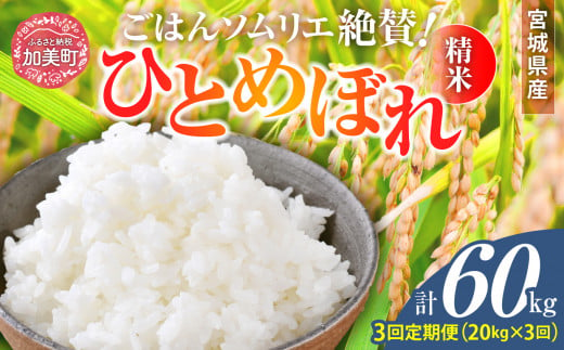 【3回定期便】新米 精米 令和6年産 宮城県産ひとめぼれ 計60kg (10kg×2袋)×3回 [菅原商店 宮城県 加美町 ]  | sg00001-r6-20kg-3 1513260 - 宮城県加美町