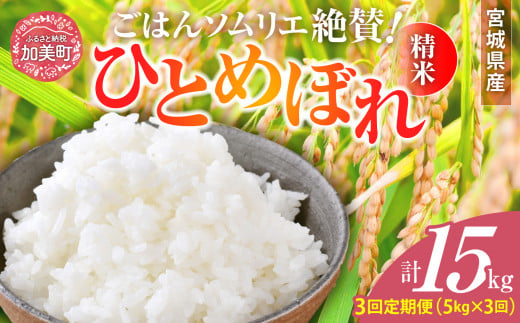 【3回定期便】新米 精米 令和6年産 宮城県産ひとめぼれ 計15kg (5kg×3回) [菅原商店 宮城県 加美町 ]  | sg00001-r6-5kg-3 1513256 - 宮城県加美町