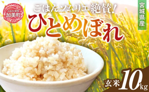 新米 玄米 令和6年産 宮城県加美町産ひとめぼれ 10kg [菅原商店 宮城県 加美町]  | sg00002-r6-10kg 1513736 - 宮城県加美町