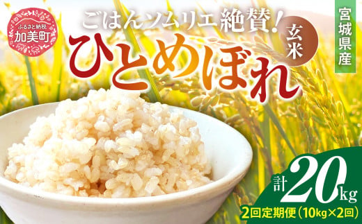 【2回定期便】新米 玄米 令和6年産 宮城県加美町産ひとめぼれ 計20kg (10kg×2回) [菅原商店 宮城県 加美町 ]  | sg00002-r6-10kg-2 1513740 - 宮城県加美町