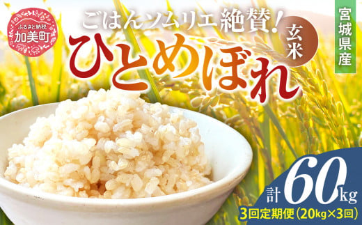 【3回定期便】新米 玄米 令和6年産 宮城県加美町産ひとめぼれ 計60kg (10kg×2袋)×3回 [菅原商店 宮城県 加美町 ]  | sg00002-r6-20kg-3 1513743 - 宮城県加美町