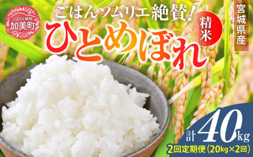 【2回定期便】新米 精米 令和6年産 宮城県産ひとめぼれ 計40kg (10kg×2袋)×2回 [菅原商店 宮城県 加美町 ]  | sg00001-r6-20kg-2 1513259 - 宮城県加美町