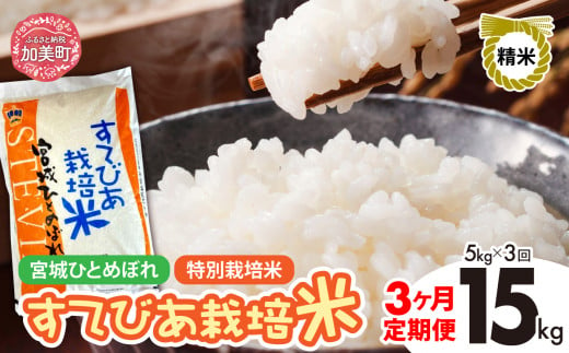 【3回定期便】新米 精米 令和6年度産 すてびあ栽培米 宮城県産 ひとめぼれ 15kg (5kg×3回) [菅原精米工業 宮城県 加美町 ]  | sw00001-r6-5kg-3 1515715 - 宮城県加美町