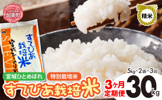 【3回定期便】新米 精米 令和6年度産 すてびあ栽培米 宮城県産 ひとめぼれ 計30kg 10kg(5kg×2)×3回 [菅原精米工業 宮城県 加美町 ]  | sw00002-r6-10kg-3 1515742 - 宮城県加美町