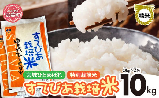 新米 精米 令和6年度産 すてびあ栽培米 宮城県産 ひとめぼれ 10kg (5kg×2袋) [菅原精米工業 宮城県 加美町 ]  | sw00002-r6-10kg 1515741 - 宮城県加美町