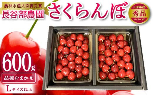 《先行予約 2025年発送》【希少 数量限定】農林水産大臣賞受賞 長谷部農園 さくらんぼ 600g バラ詰め 品種おまかせ 秀品 Lサイズ以上 桜桃 さくらんぼ 果物 フルーツ 山形県産 FSY-2131