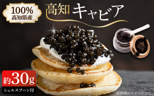 高知産熟成キャビア 約30g (化粧箱) シェルスプーン付Black Jewel 【興洋フリーズ株式会社】 [ATBX010] 442820 - 高知県高知市