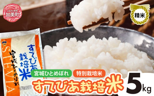 新米 精米 令和6年度産 すてびあ栽培米 宮城県産 ひとめぼれ 5kg  [菅原精米工業 宮城県 加美町 ]  | sw00001-r6-5kg 1515711 - 宮城県加美町