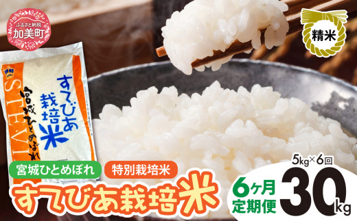 【6回定期便】新米 精米 令和6年度産 すてびあ栽培米 宮城県産 ひとめぼれ30kg (5kg×6回) [菅原精米工業 宮城県 加美町 ]  | sw00001-r6-5kg-6 1515739 - 宮城県加美町