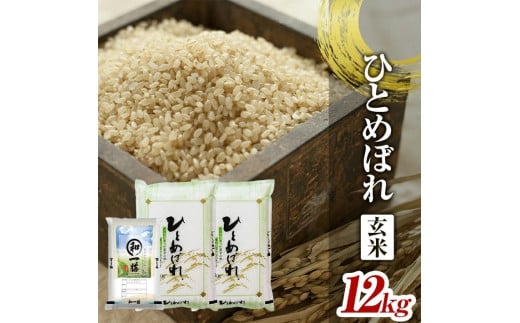 令和7年産[玄米]ひとめぼれ 12kg(5kg×2袋+2kg×1袋) YA