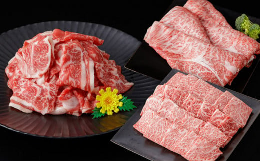 高知県高知市のふるさと納税 簡単調理! お肉の詰め合わせ 総計約4.7kg 牛肉 鶏肉 豚肉 国産 小分け 食べ比べ 【(有)山重食肉】 [ATAP009]