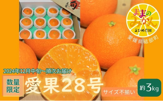 ＜産地直送＞【数量限定】みかん「愛果28号」サイズ不揃い3キロ家庭用 12月中旬頃～順次発送【訳あり ふぞろい 甘い みかん 愛媛】[№5310-0247]