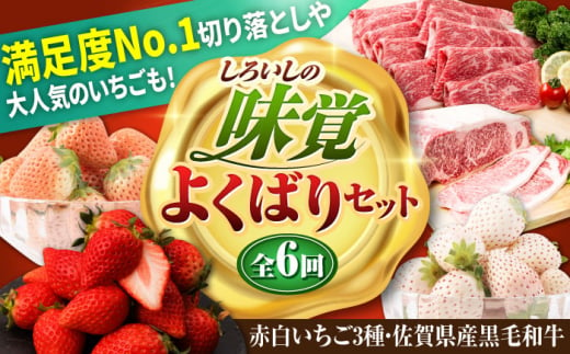 【全6回定期便】しろいしの味覚よくばりセット（赤白いちご3種と佐賀県産黒毛和牛） [IZZ023]