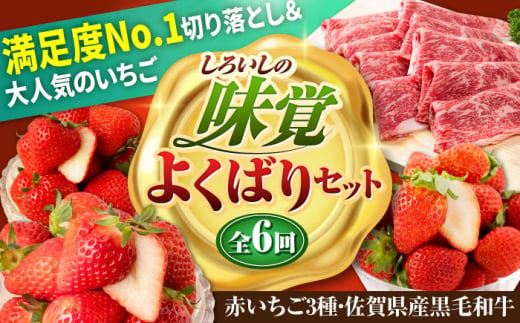 【全6回定期便】しろいしの味覚よくばりセット（赤いちご3種と佐賀県産黒毛和牛） [IZZ021]