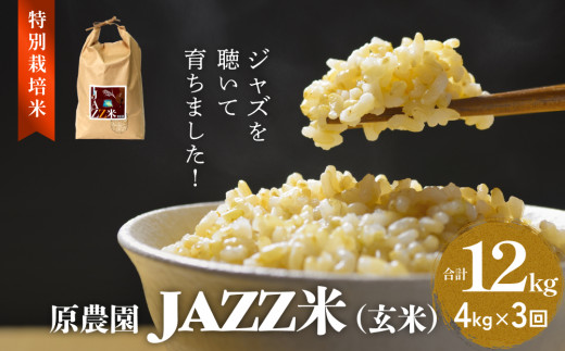 原農園 JAZZ米 (玄米) ４kg ３回定期便 JAZZ米 JAZZ 玄米 原農園 米 銘柄米 きりかぶ山 水 肥料 有機質肥料 特別栽培米 抗酸化農法 光合成細菌 堆肥 アートテン農法 有効微生物農法 健康 食品 完熟堆肥 1512642 - 大分県玖珠町